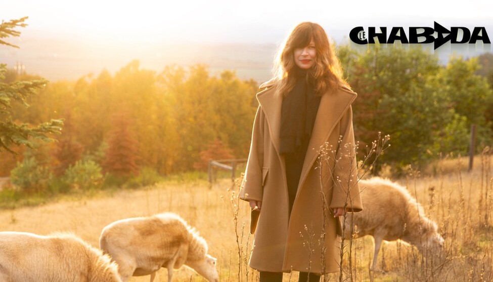 Shannon Wright | Di 10. März 2026 | Bogen F, Zürich