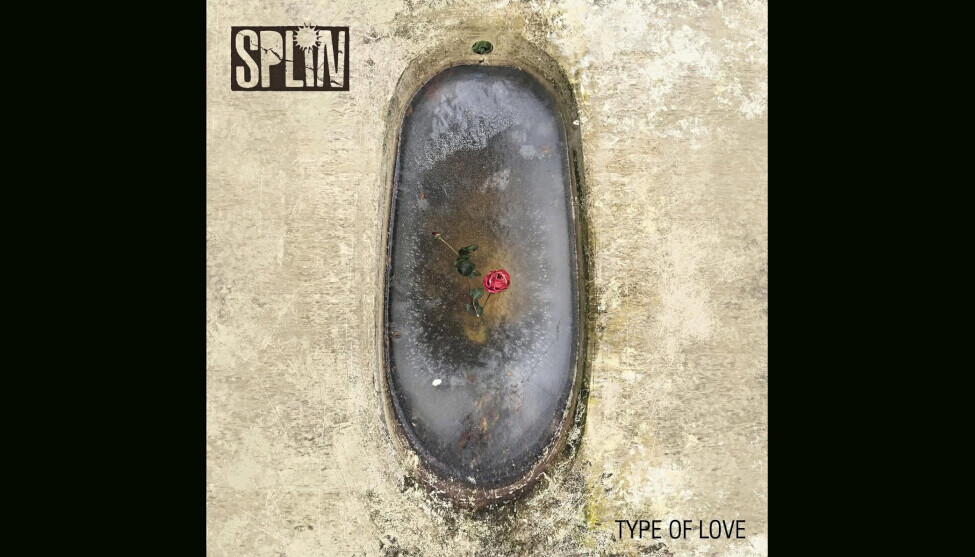 SPLIN