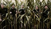 Rantanplan | Fr 16. Januar 2026 | KIFF, Saal, Aarau