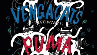 Puma | Fr 19. Dezember 2025 | Kraftfeld, Winterthur